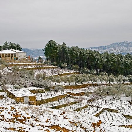 Апартаменты Quinta Soutelinho Саброза Экстерьер фото